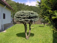/album/krompach/krompach20-jpg/